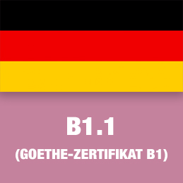 Alemán B1.1
